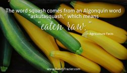 Ag Facts about Squash