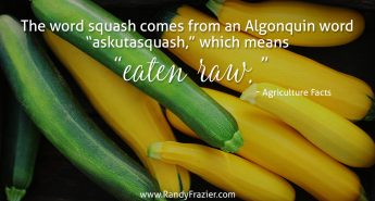 Ag Facts about Squash