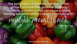 Ag Facts about Bell Peppers