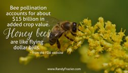 Ag Facts about Bees