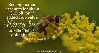 Ag Facts about Bees