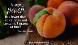 Ag Facts about Peaches