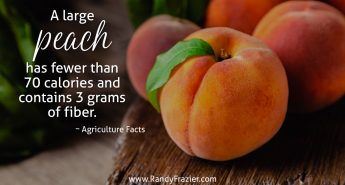 Ag Facts about Peaches
