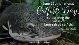 Catfish Day