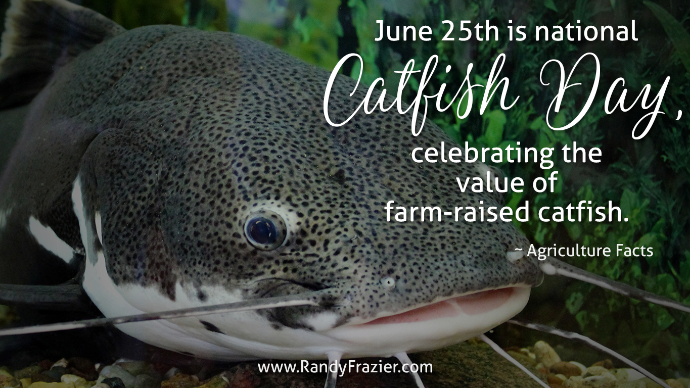 Catfish Day