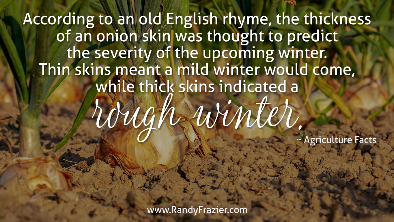 Ag Facts about Onions