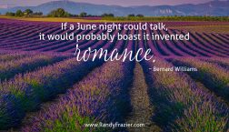 Bernard Williams Quote