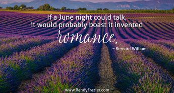Bernard Williams Quote