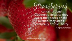 Ag Facts about Strawberries