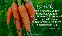 Ag Facts about Carrots