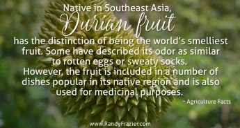 Ag Facts about Durian Fruit