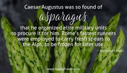 Ag Facts about Asparagus