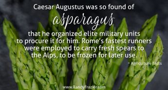 Ag Facts about Asparagus