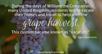 Ag Facts about Grapes