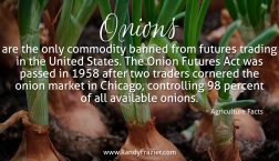 Ag Facts about Onions