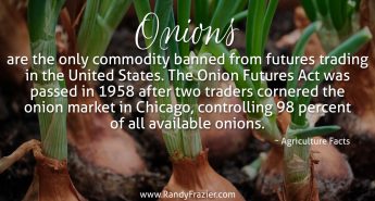 Ag Facts about Onions