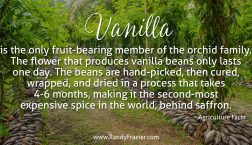 Ag Facts about Vanilla