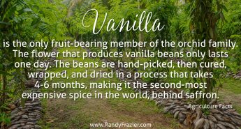 Ag Facts about Vanilla