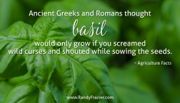 Ag Facts about Basil