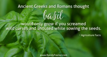 Ag Facts about Basil