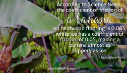 Ag Facts about Bananas