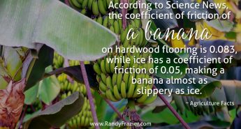 Ag Facts about Bananas