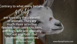 Ag Facts about Goats