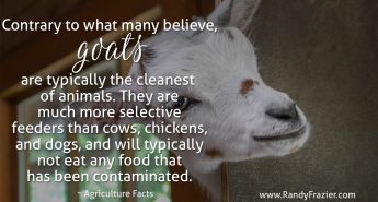 Ag Facts about Goats