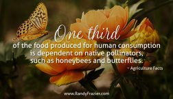 Ag Facts about Butterflies