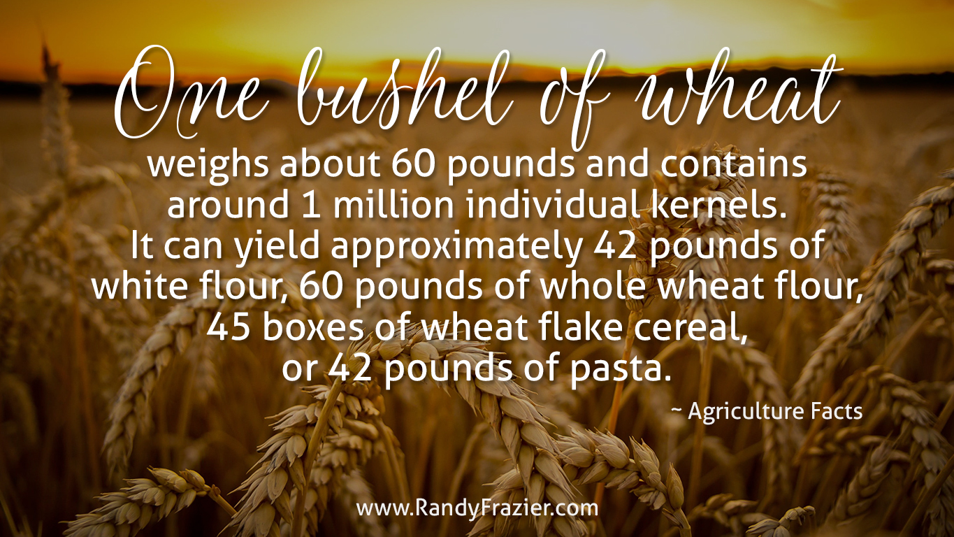 Ag Facts about Wheat