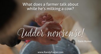 Farm Humor about Cows