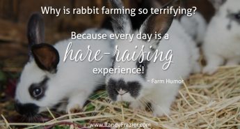 Rabbit Farm Humor