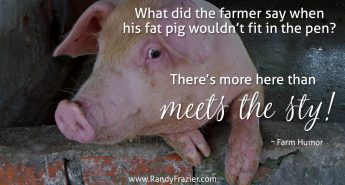 Farm Humor about Pigs
