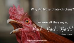 Farm Humor - Chickens