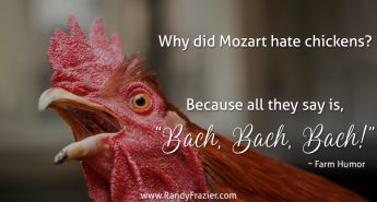 Farm Humor - Chickens