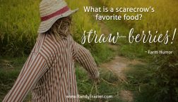 Farm Humor - Scarecrows