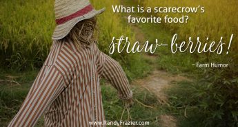 Farm Humor - Scarecrows