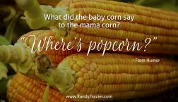 Farm Humor - Corn