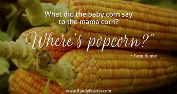 Farm Humor - Corn
