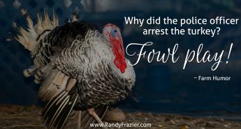 Farm Humor - Turkeys