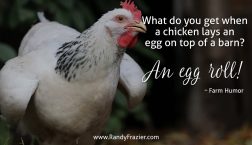 Farm Humor - Chickens