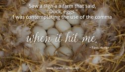 Farm Humor - Duck Eggs