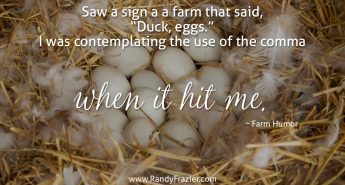 Farm Humor - Duck Eggs