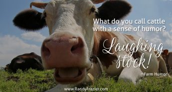Farm Humor - Cattle