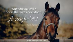Farm Humor - Horses