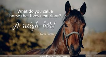 Farm Humor - Horses