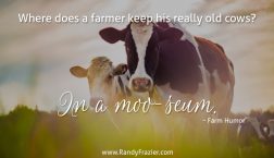 Farm Humor - Cows
