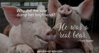 Farm Humor - Pigs