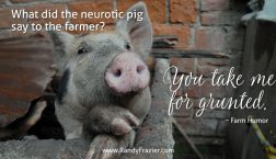 Farm Humor - Pigs