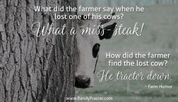 Farm Humor - Cows